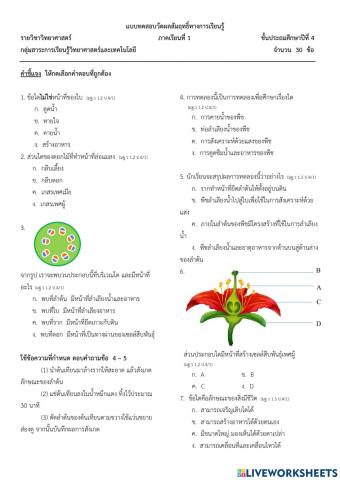 ข้อสอบปลายภาควิทย์ป4