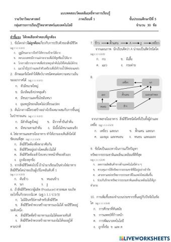 ข้อสอบปลายภาควิทย์ป5