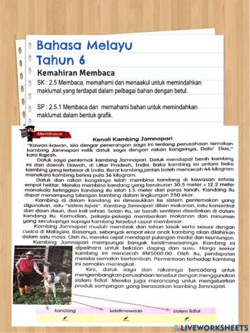 Kenali Kambing Jamnapari