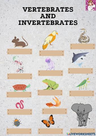 Vertebrates and Invertebrates