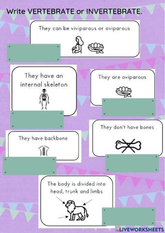 Vertebrates and Invertebrates