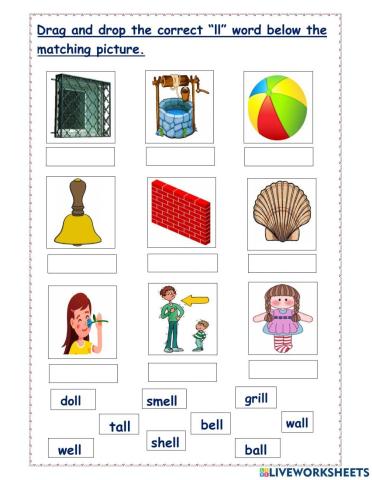 Drag and drop the correct “ll” word below the matching picture