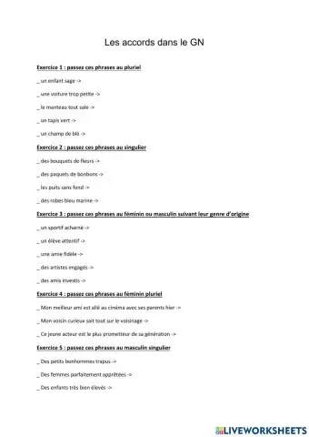 Les accords dans le GN