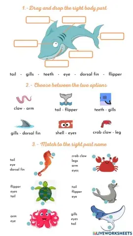 Ocean animals body parts