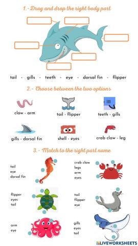 Ocean animals body parts
