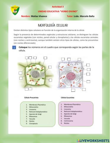 Ciencia Naturales - Act 3