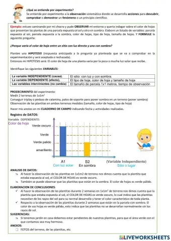 PASOS-Método Científico