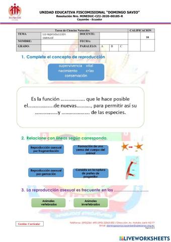 La reproducción Asexual