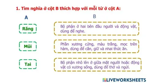 PBT - Bài 1 - Từ nhiều  nghĩa