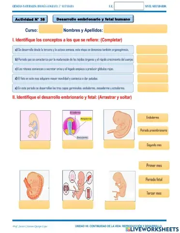 35.6. cuidados de la mujer  embarazada