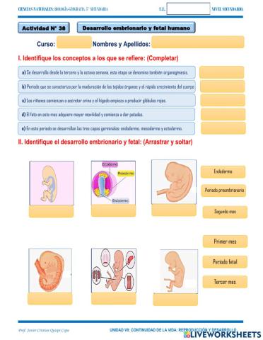 35.6. cuidados de la mujer  embarazada