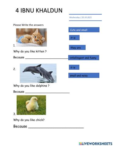 Adjectives Vocabulary  and Sentence Sructure