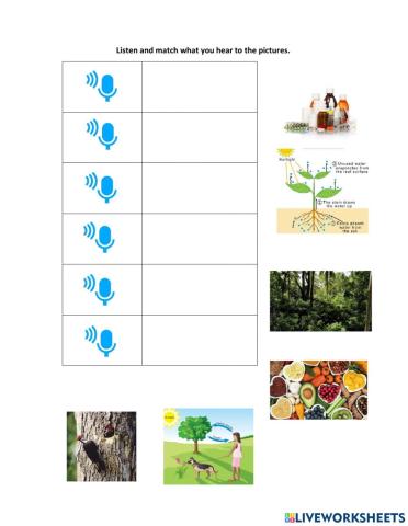 Importance of plants