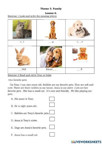 Smart start 3 theme 3 lesson 6
