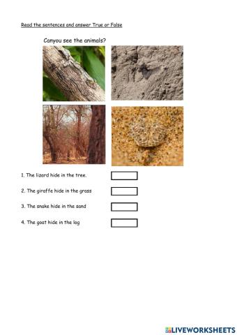 Supermind YEar 1 LEsson 110