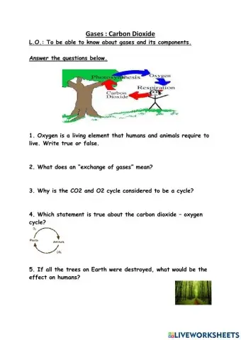 Materials - Carbon Dioxide
