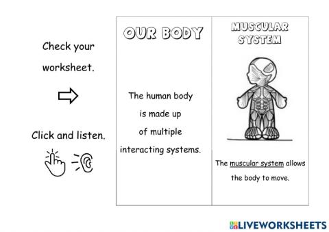 Human body systems.