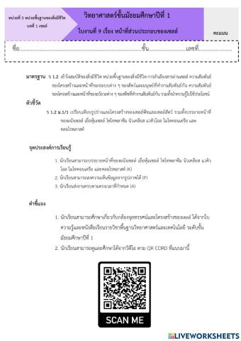 หน้าที่ส่วนประกอบของเซลล์