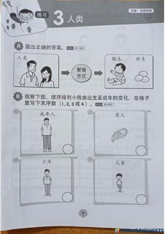 二年级科学 人类