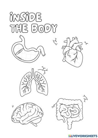 Body Parts