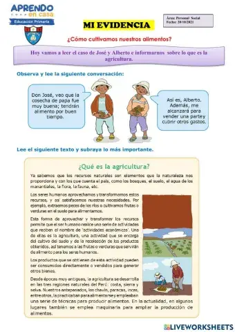 ¿Cómo cultivamos nuestros alimentos?