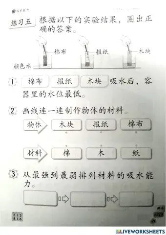 一年级科学：吸水能力