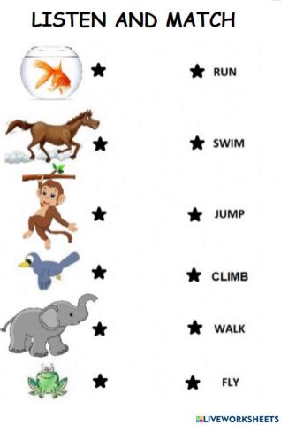 Animal actions