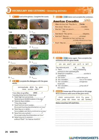 Vocabulary & Listening