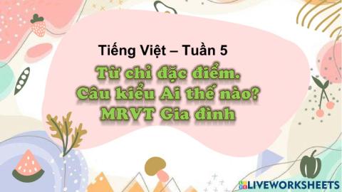 Tuần 5: Từ chỉ đặc điểm-MRVT: Gia đình