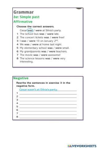 To Be past- affirmative and negative form.