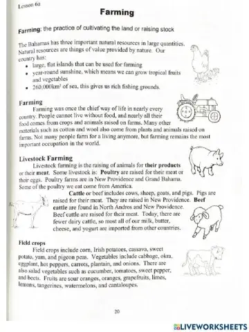 Farming in The Bahamas