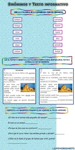 Sinónimos 
