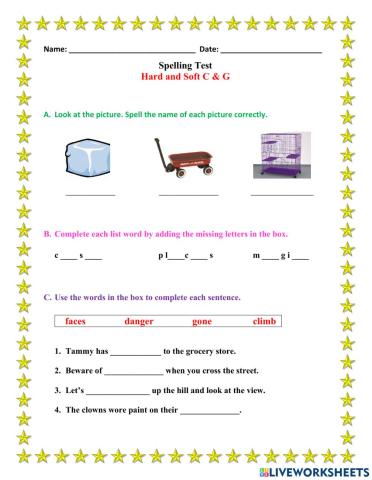 Hard & Soft C & G Spelling Test