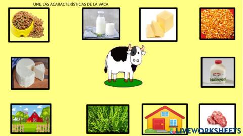 Características de a vaca