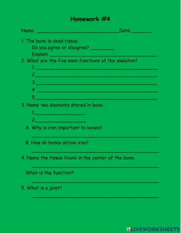 Bones and its functions