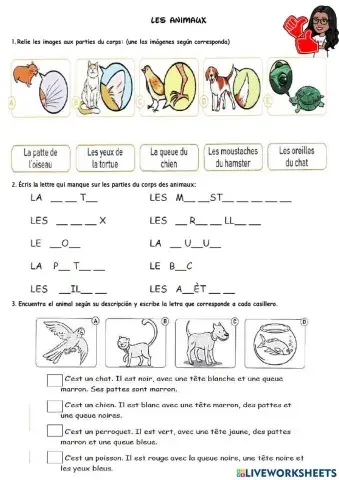 Partie du corps des anumaux