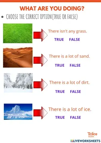 How much snow is there? grammar