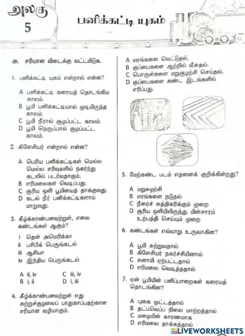 பனிக்கட்டி யுகம்