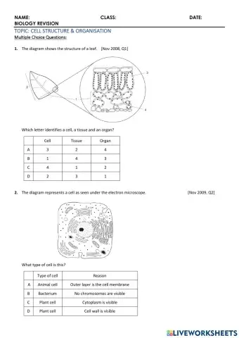 Biology - 1 Cell Structure and Organisation