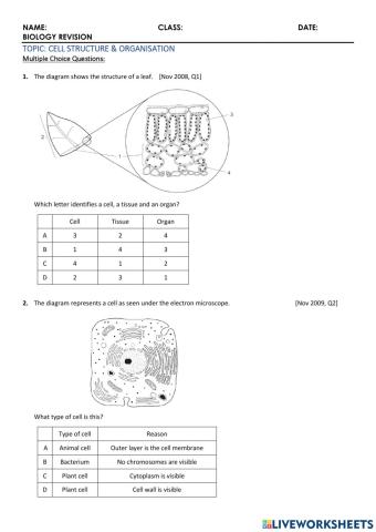 Biology - 1 Cell Structure and Organisation