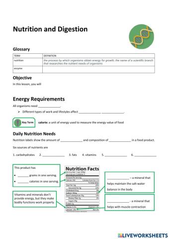 S7U3.Nutrition&Digestion
