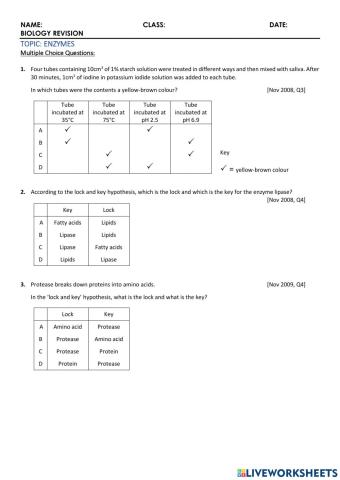 Biology - 3 Enzymes