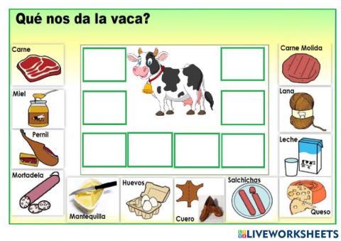 Beneficios de la vaca
