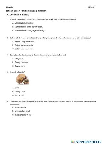 Latihan sistem rangka manusia