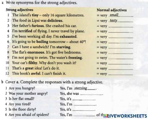 Vocabulary - strong adj