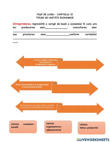 CARACTERISTICILE INTREPRINDERII - CAPITOLUL II
