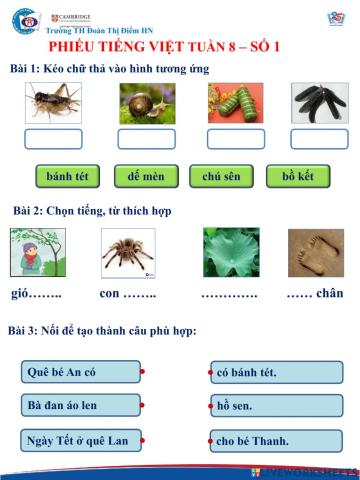 Tiếng việt nâng cao tuần 8 - số 1