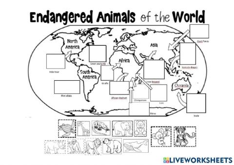 Endangered animals MAP