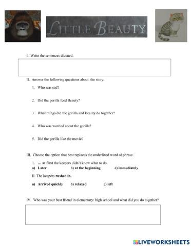 Reading comprehension