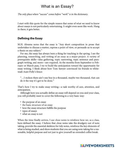 What is an essay?